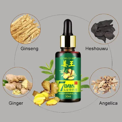 Imported Derma Roller Deep Penetrative & GINGER GERMINAL OIL for fast hair growth